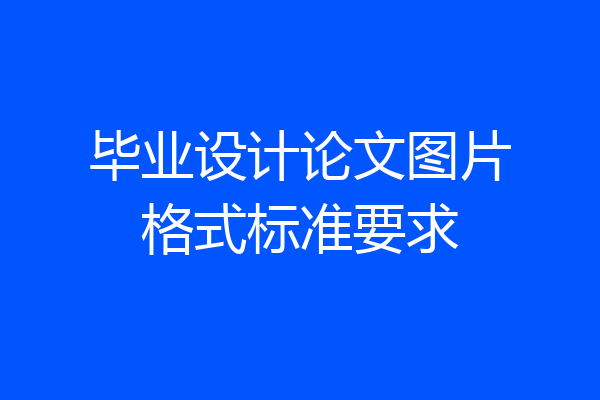 毕业设计论文图片格式标准要求