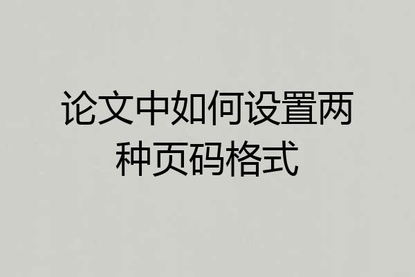 论文中如何设置两种页码格式