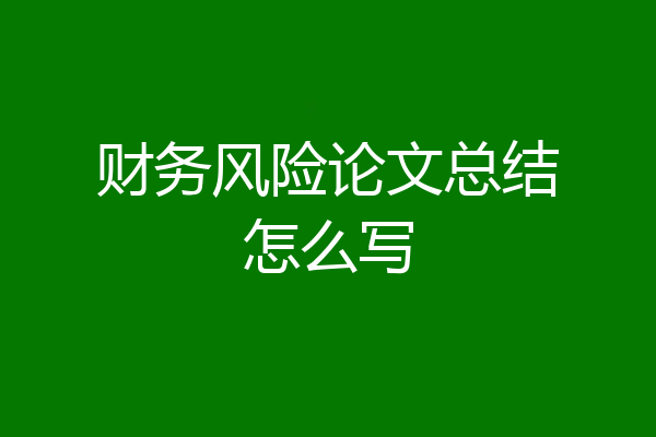 财务风险论文总结怎么写