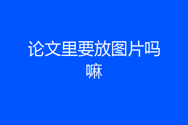 论文里要放图片吗嘛
