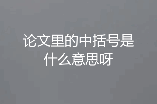 论文里的中括号是什么意思呀