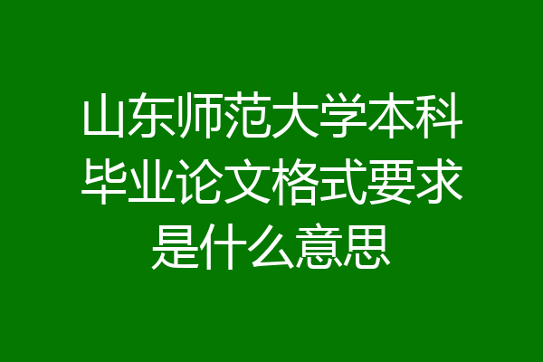 山东师范大学本科毕业论文格式要求是什么意思