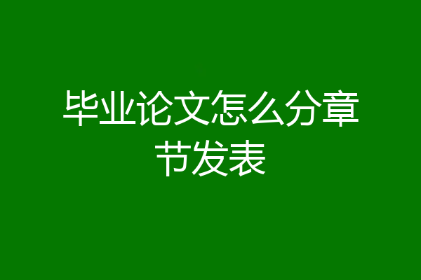 毕业论文怎么分章节发表
