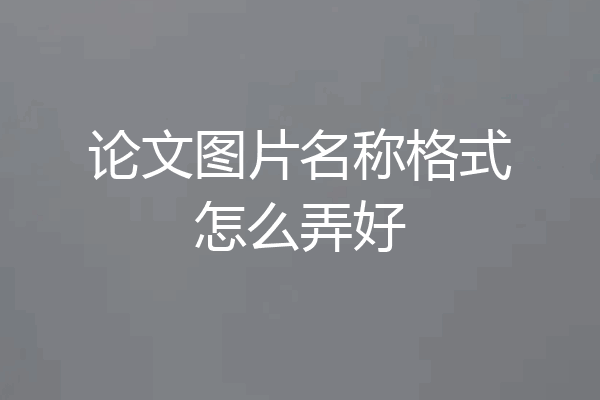 论文图片名称格式怎么弄好