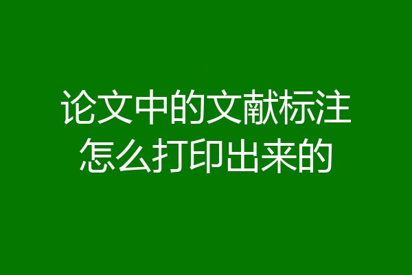 论文中的文献标注怎么打印出来的