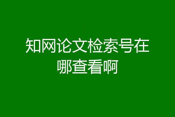 知网论文检索号在哪查看啊