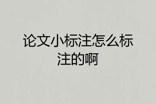 论文小标注怎么标注的啊