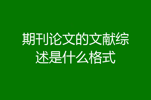 期刊论文的文献综述是什么格式