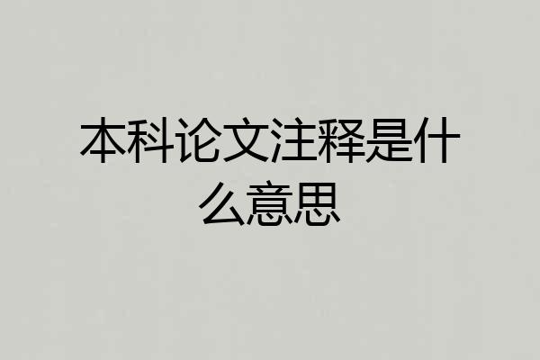 本科论文注释是什么意思