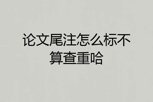 论文尾注怎么标不算查重哈