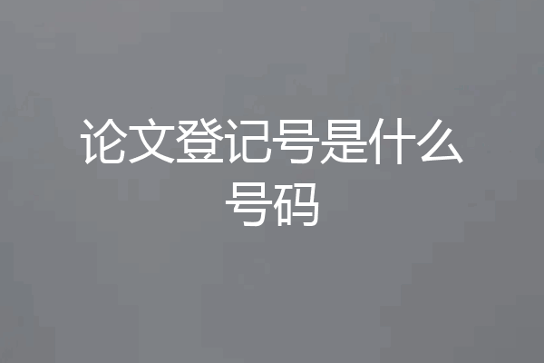 论文登记号是什么号码