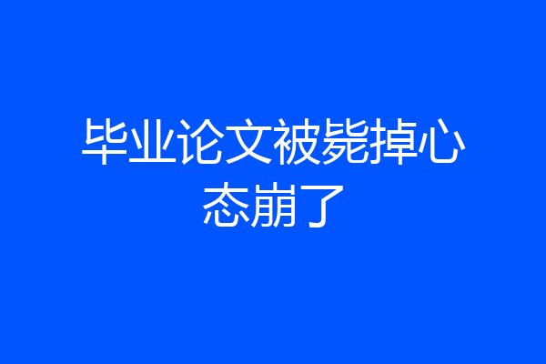 毕业论文被毙掉心态崩了