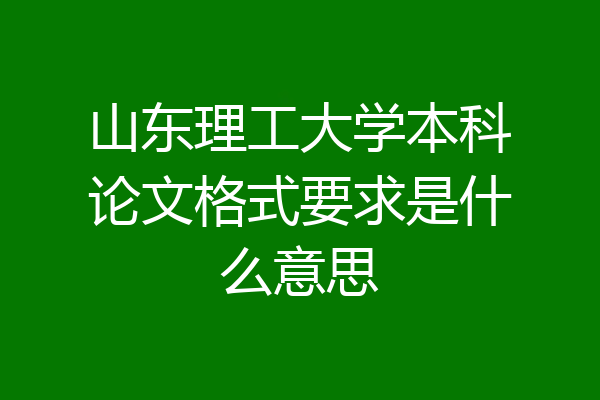 山东理工大学本科论文格式要求是什么意思