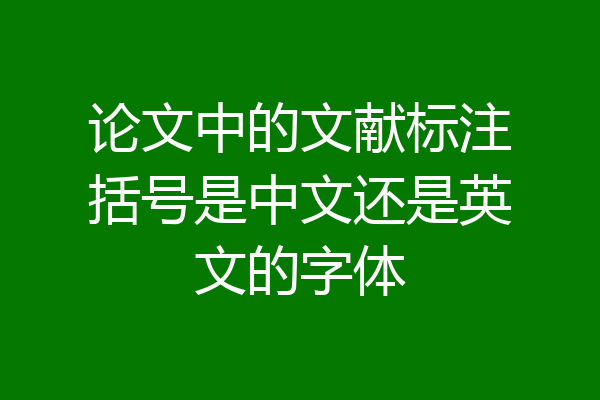 论文中的文献标注括号是中文还是英文的字体