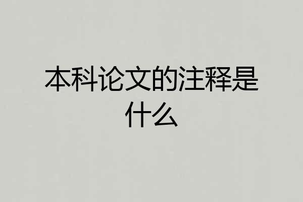本科论文的注释是什么