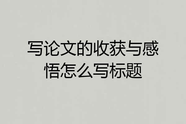 写论文的收获与感悟怎么写标题