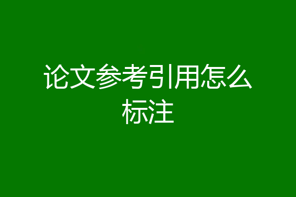 论文参考引用怎么标注