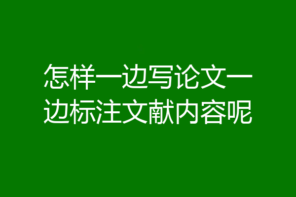 怎样一边写论文一边标注文献内容呢