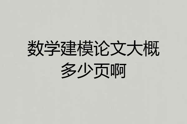 数学建模论文大概多少页啊