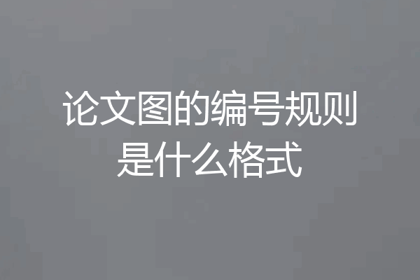 论文图的编号规则是什么格式