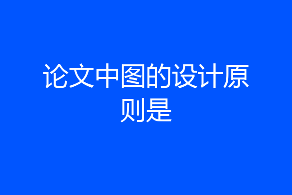 论文中图的设计原则是