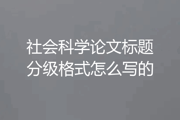 社会科学论文标题分级格式怎么写的