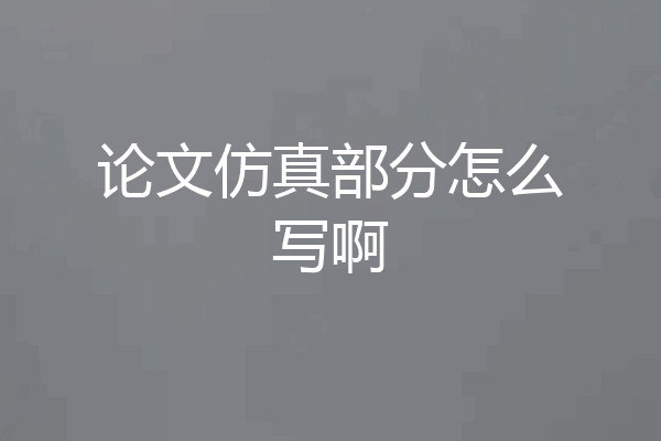 论文仿真部分怎么写啊