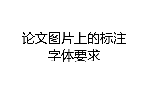 论文图片上的标注字体要求