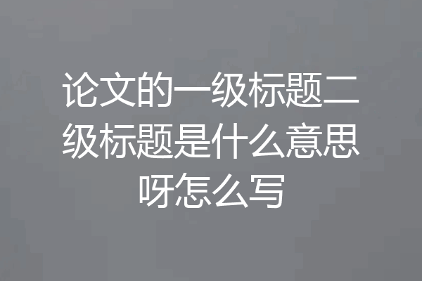 论文的一级标题二级标题是什么意思呀怎么写