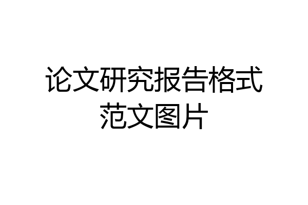 论文研究报告格式范文图片