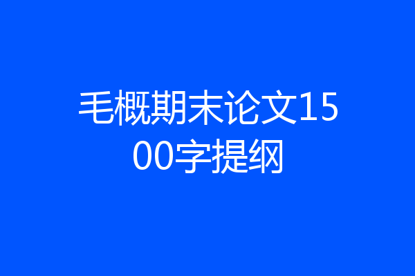 毛概期末论文1500字提纲