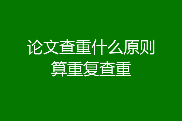 论文查重什么原则算重复查重