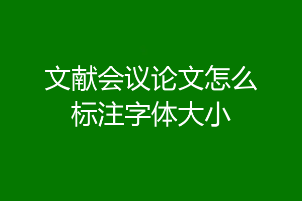 文献会议论文怎么标注字体大小