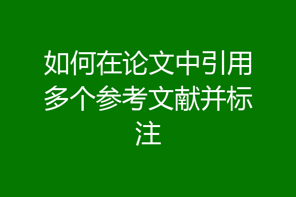 如何在论文中引用多个参考文献并标注