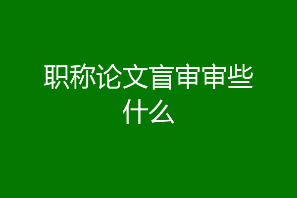 职称论文盲审审些什么
