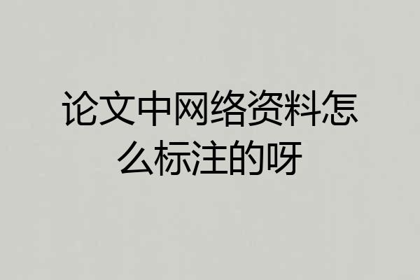 论文中网络资料怎么标注的呀