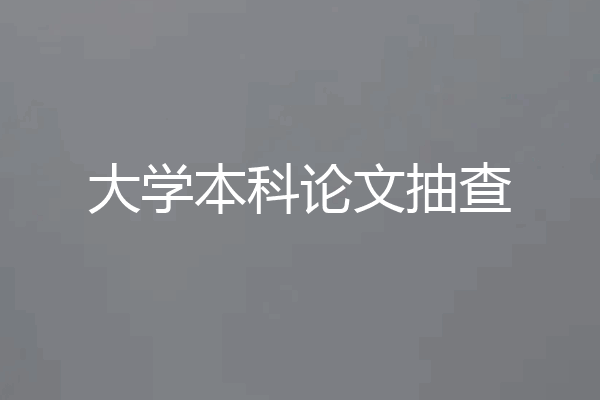 大学本科论文抽查