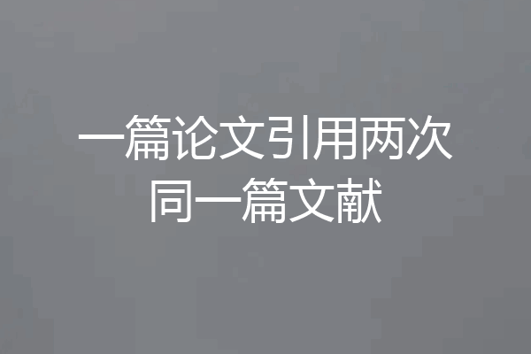 一篇论文引用两次同一篇文献