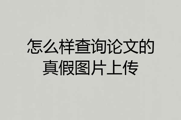 怎么样查询论文的真假图片上传