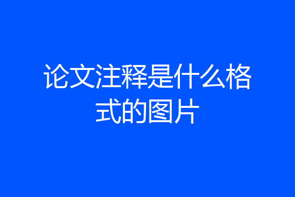 论文注释是什么格式的图片