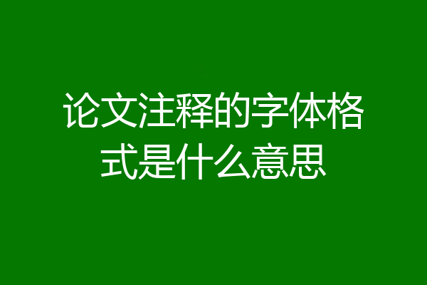 论文注释的字体格式是什么意思