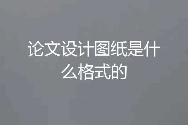 论文设计图纸是什么格式的