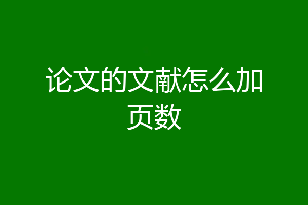 论文的文献怎么加页数