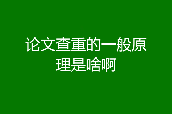 论文查重的一般原理是啥啊