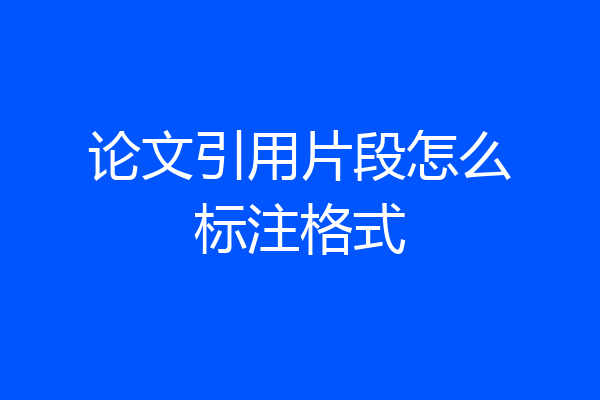论文引用片段怎么标注格式