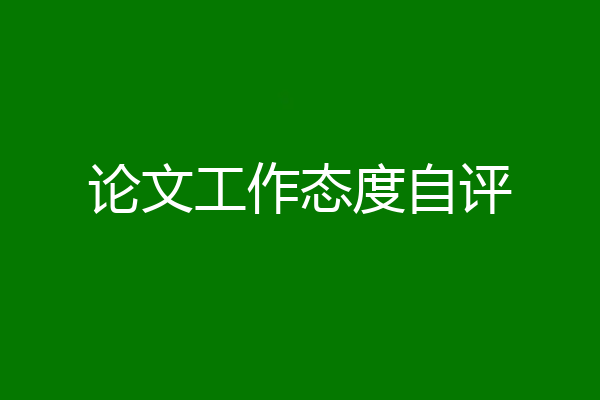 论文工作态度自评