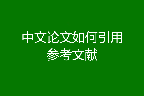 中文论文如何引用参考文献