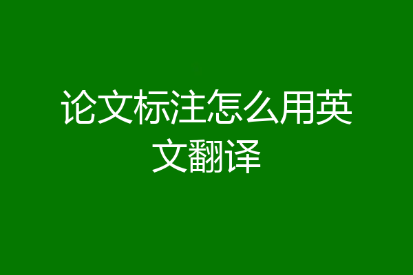 论文标注怎么用英文翻译