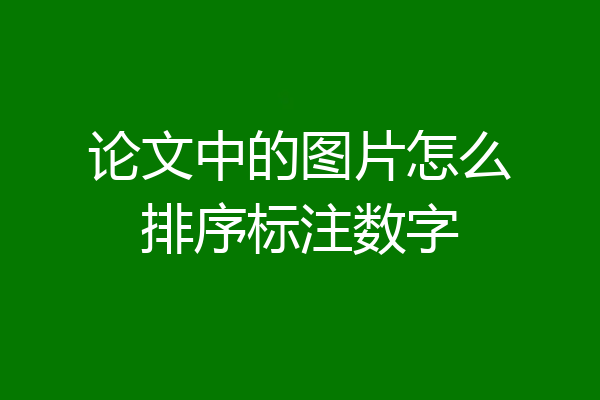 论文中的图片怎么排序标注数字