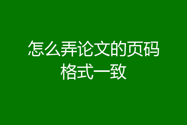 怎么弄论文的页码格式一致